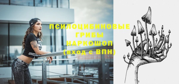 a pvp Арсеньев
