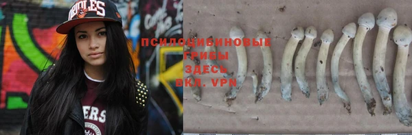 a pvp Аркадак