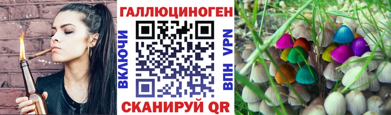 Купить  Трубчевск  Галлюциногенные грибы GOLDEN TEACHER 